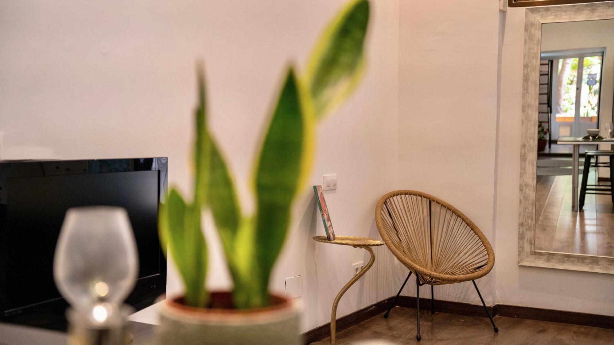 Apartment Next To Park Guell Барселона Екстериор снимка